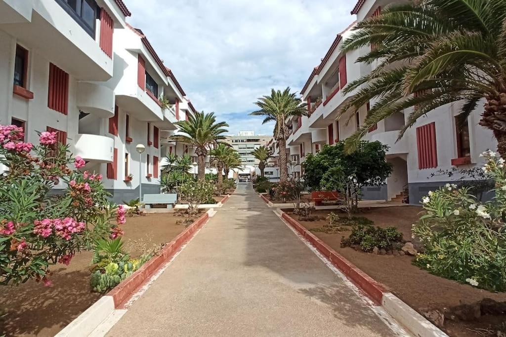Apartment Altemar In Americas *