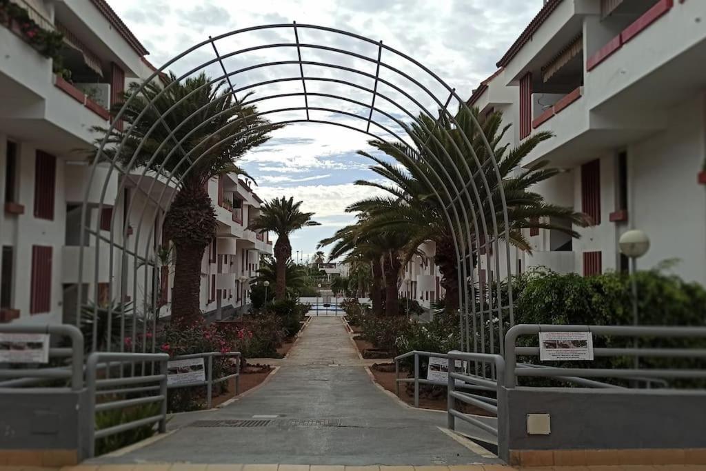 Altemar In Americas *