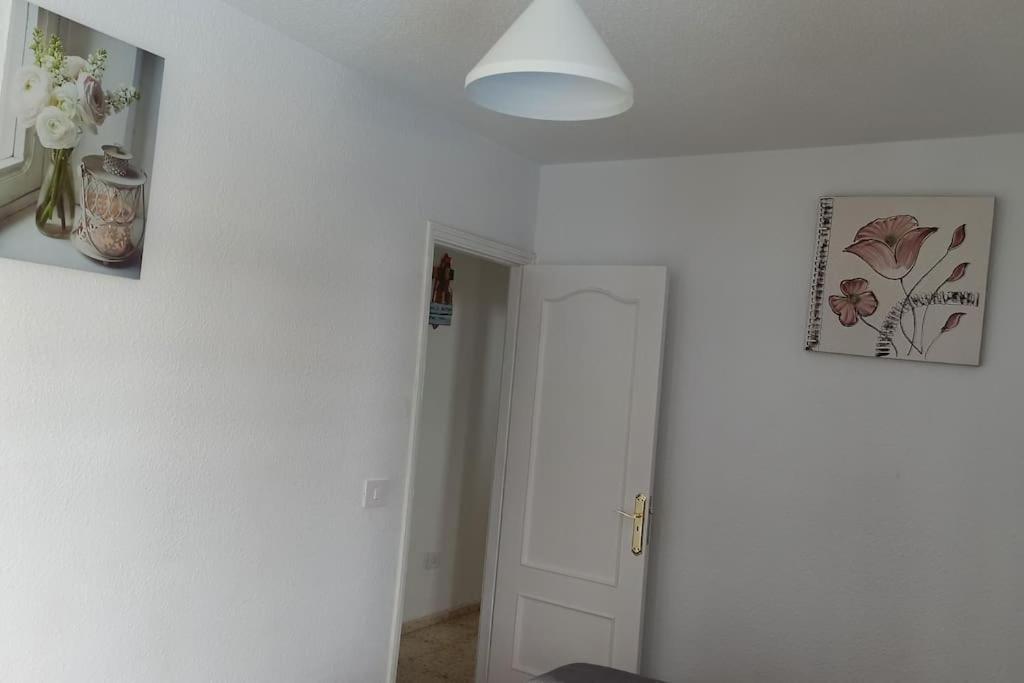 Apartment Altemar In Americas